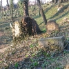 cieszyn-stary-cmentarz-zydowski-3