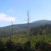 lesieniec-widok-na-czarna-gora