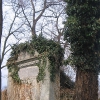 miedzyborz-cmentarz-ewangelicki-11