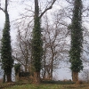 miedzyborz-cmentarz-ewangelicki-14