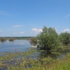 szczedrzyk-jezioro-turawskie-10