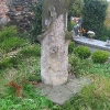wiry-kosciol-kamienne-drzewo